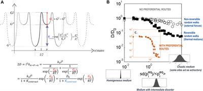 In Silico Prediction of Food Properties: A Multiscale Perspective